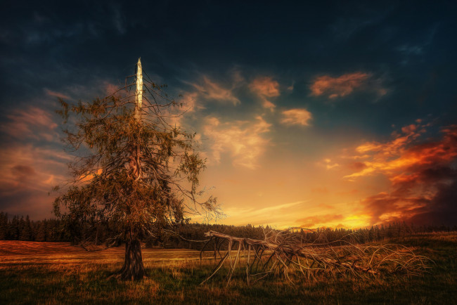 Обои картинки фото природа, восходы, закаты, рассвет