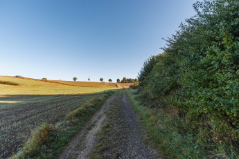 Картинка природа дороги тракт