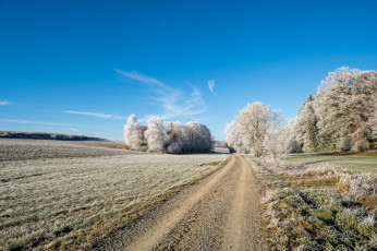 Картинка природа дороги тракт