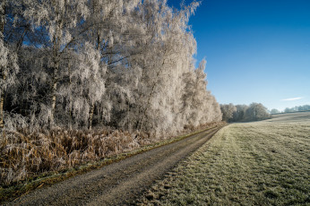 Картинка природа дороги тракт