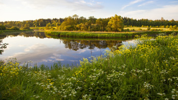 Картинка природа реки озера деревья река