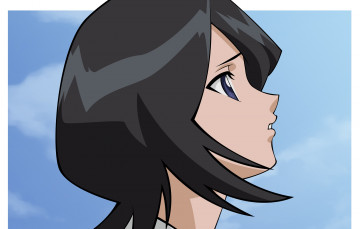 Картинка аниме bleach kuchiki rukia
