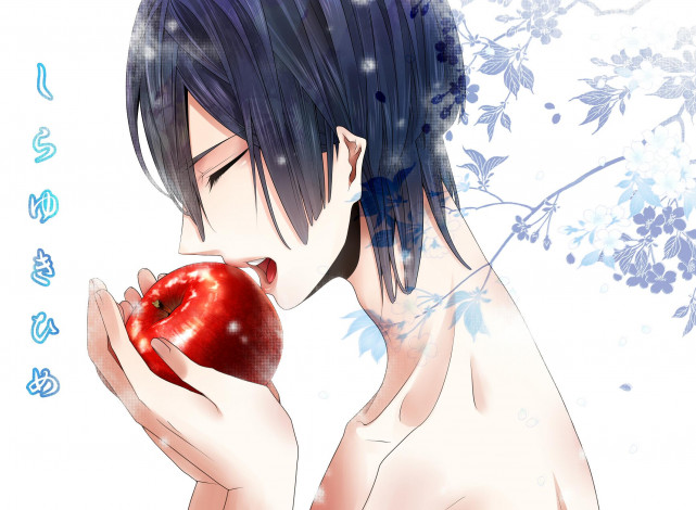 Обои картинки фото аниме, uta no prince-sama, hijirikawa, masato