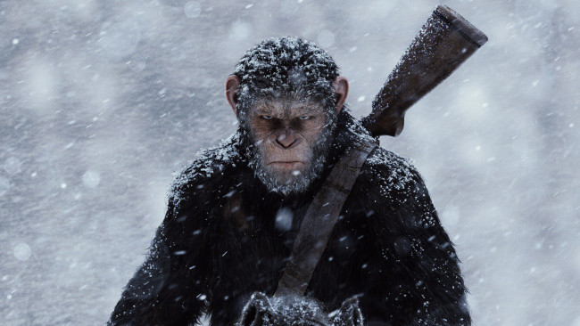 Обои картинки фото кино фильмы, war for the planet of the apes, war, for, the, planet, of, apes