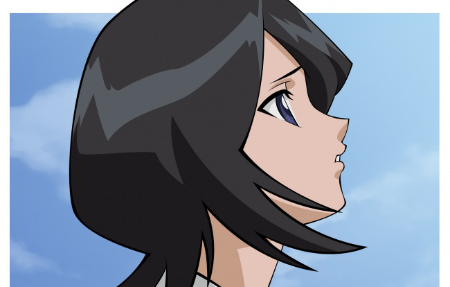 Обои картинки фото аниме, bleach, kuchiki, rukia