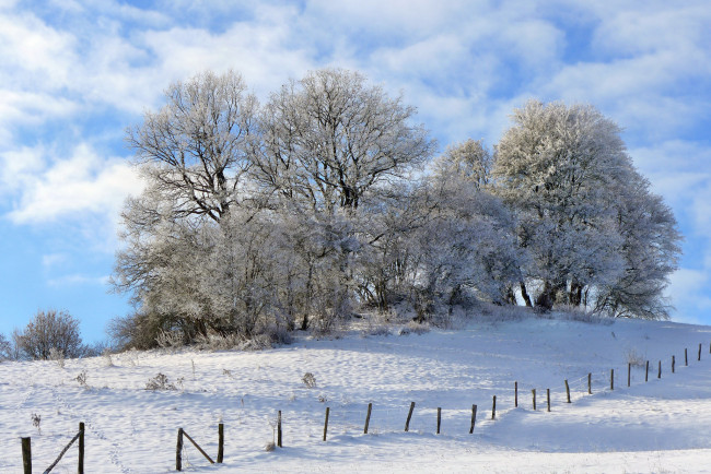 Обои картинки фото природа, зима, снег