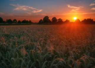 Картинка природа восходы закаты простор