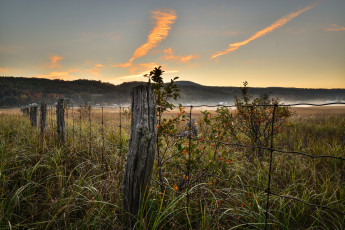 Картинка природа пейзажи простор