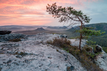 Картинка природа деревья простор