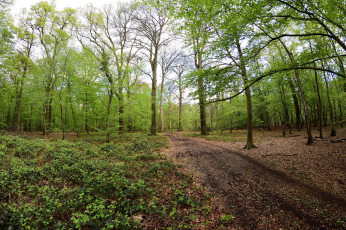 Картинка природа дороги простор