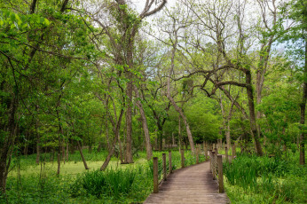 Картинка природа дороги простор