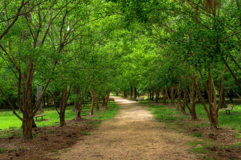 Картинка природа дороги простор