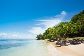 Картинка природа тропики простор