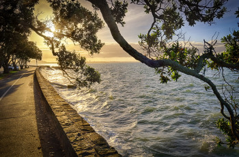 Картинка природа побережье простор