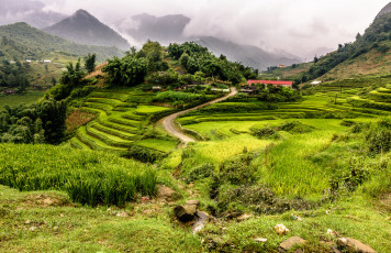 Картинка природа пейзажи простор