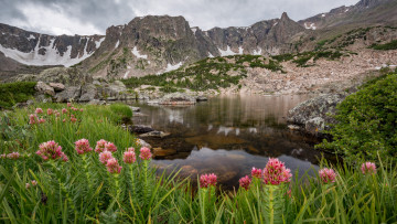 Картинка природа реки озера простор