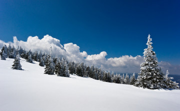 Картинка природа зима простор