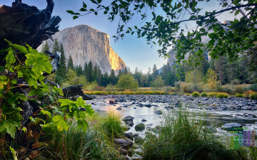 Картинка календари природа деревья водоем скала 2018 растения