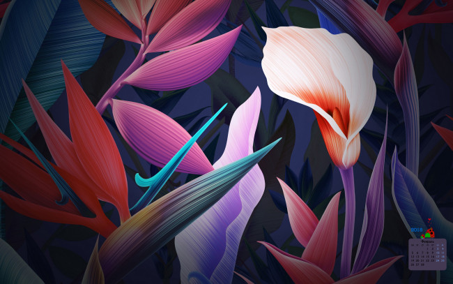 Обои картинки фото календари, рисованные,  векторная графика, цветы, 2018