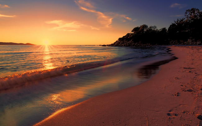 Обои картинки фото природа, побережье, облака, небо, деревья, солнце, закат, берег, пляж, море