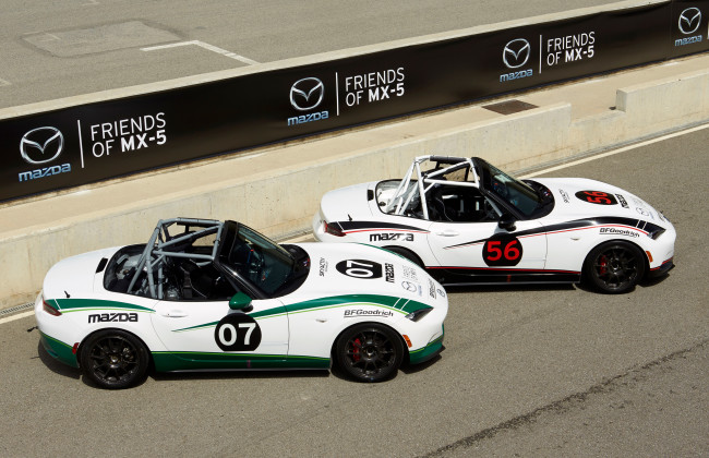 Обои картинки фото mazda mx-5 cup 2015, автомобили, mazda, 2015, mx-5, cup