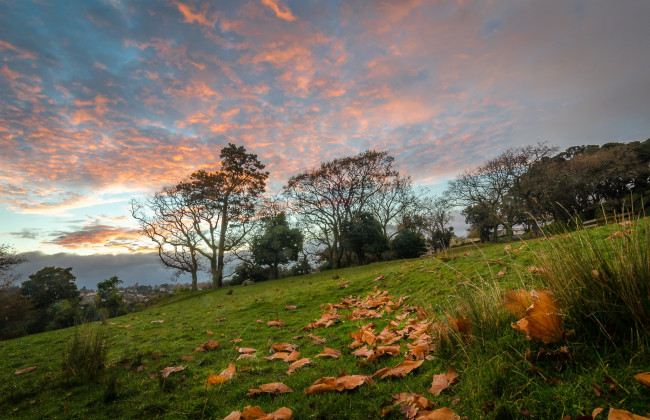 Обои картинки фото природа, пейзажи, простор