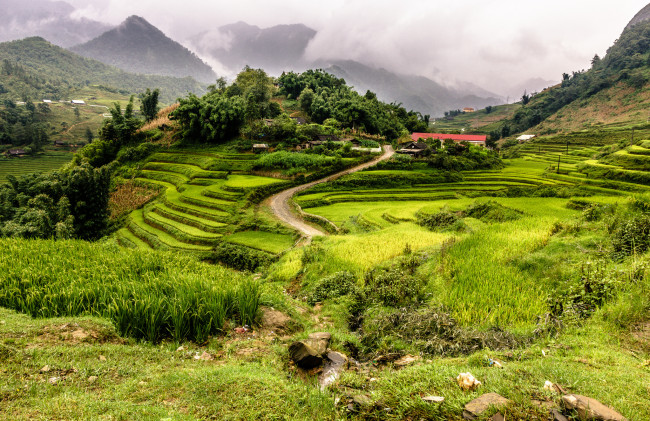 Обои картинки фото природа, пейзажи, простор