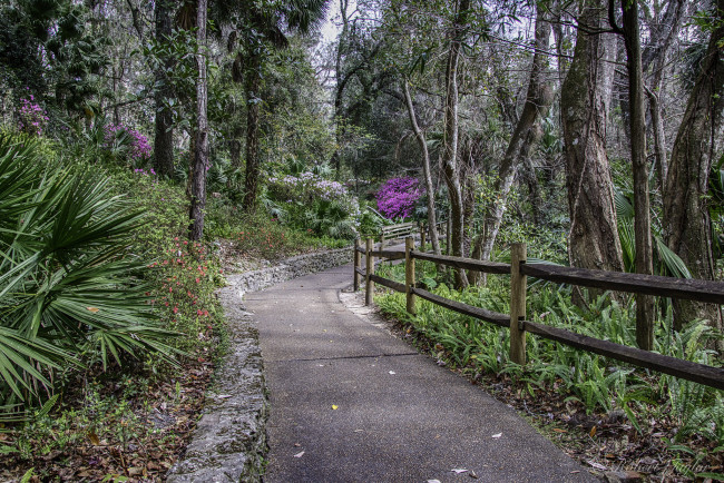 Обои картинки фото природа, дороги, простор