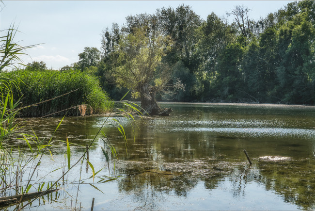 Обои картинки фото природа, реки, озера, простор