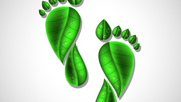 Картинка векторная+графика другое+ other нога капли фон листья