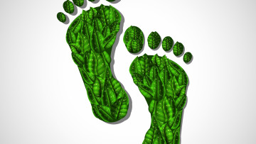 обоя векторная графика, другое , other, нога, капли, фон, листья