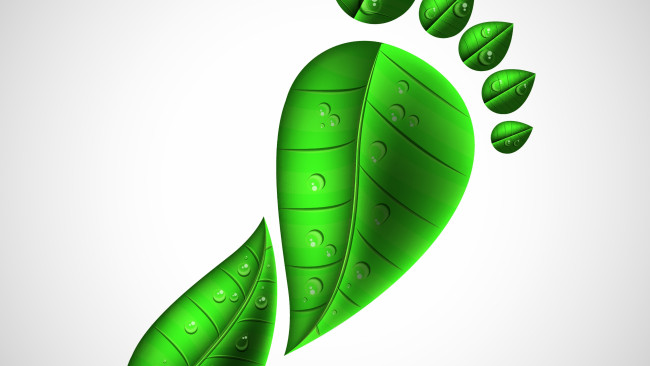 Обои картинки фото векторная графика, другое , other, капли, фон, листья, нога