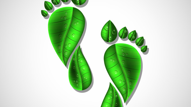 Обои картинки фото векторная графика, другое , other, нога, капли, фон, листья