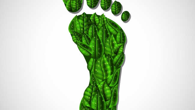 Обои картинки фото векторная графика, природа , nature, нога, капли, фон, листья