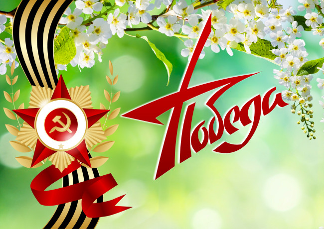 Обои картинки фото праздничные, день победы, надпись, цветы, ветка, орден