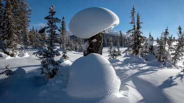 Картинка природа зима сугробы снег