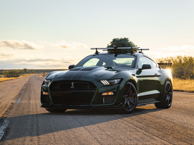 Обои картинки фото автомобили, mustang, hennessey