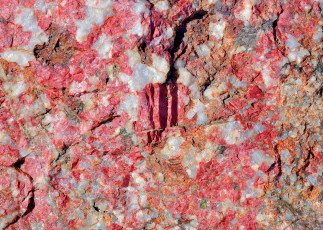 Картинка разное текстуры розовый