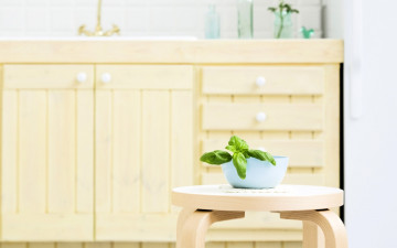 обоя интерьер, кухня, мебель, кран, табурет, растение