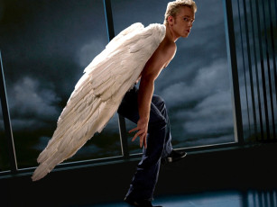обоя кино фильмы, x-men 3, парень, крылья, ангел, окно