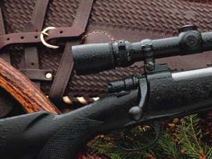 Картинка charles daly field grade mauser оружие винтовки прицеломприцелы