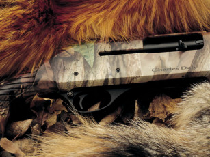 обоя charles, daly, field, hunter, vr, mc, оружие, винтовкиружьямушкетывинчестеры