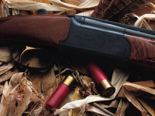 Картинка daly empire hunter ae mc оружие винтовкиружьямушкетывинчестеры