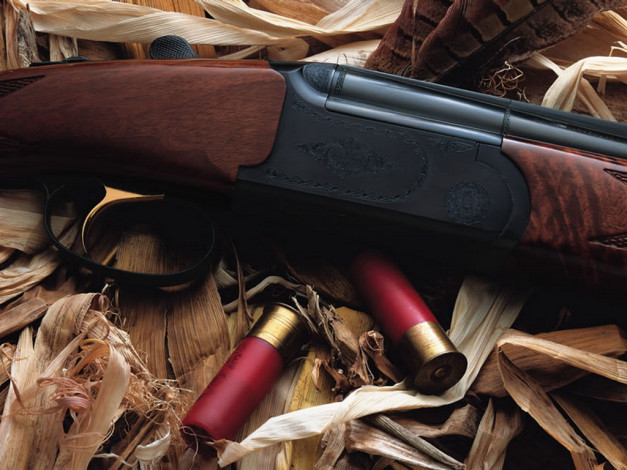 Обои картинки фото daly, empire, hunter, ae, mc, оружие, винтовкиружьямушкетывинчестеры