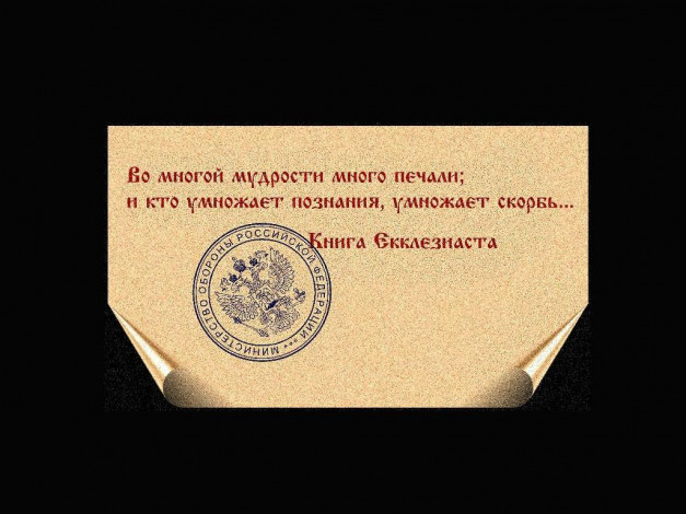 Обои картинки фото разное