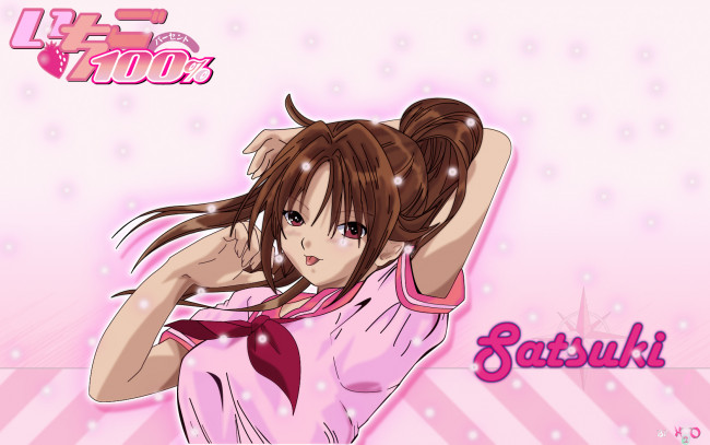 Обои картинки фото аниме, ichigo, 100%