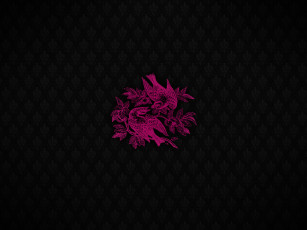 Картинка разное компьютерный дизайн