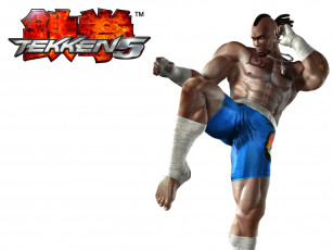 Картинка видео игры tekken