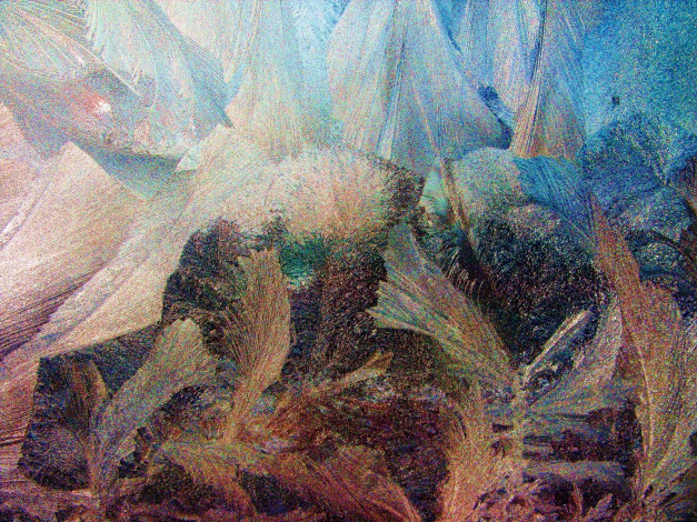 Обои картинки фото мороз, затейник, природа, макро