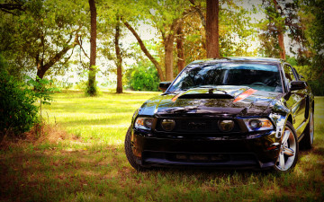 Картинка автомобили mustang черный gt